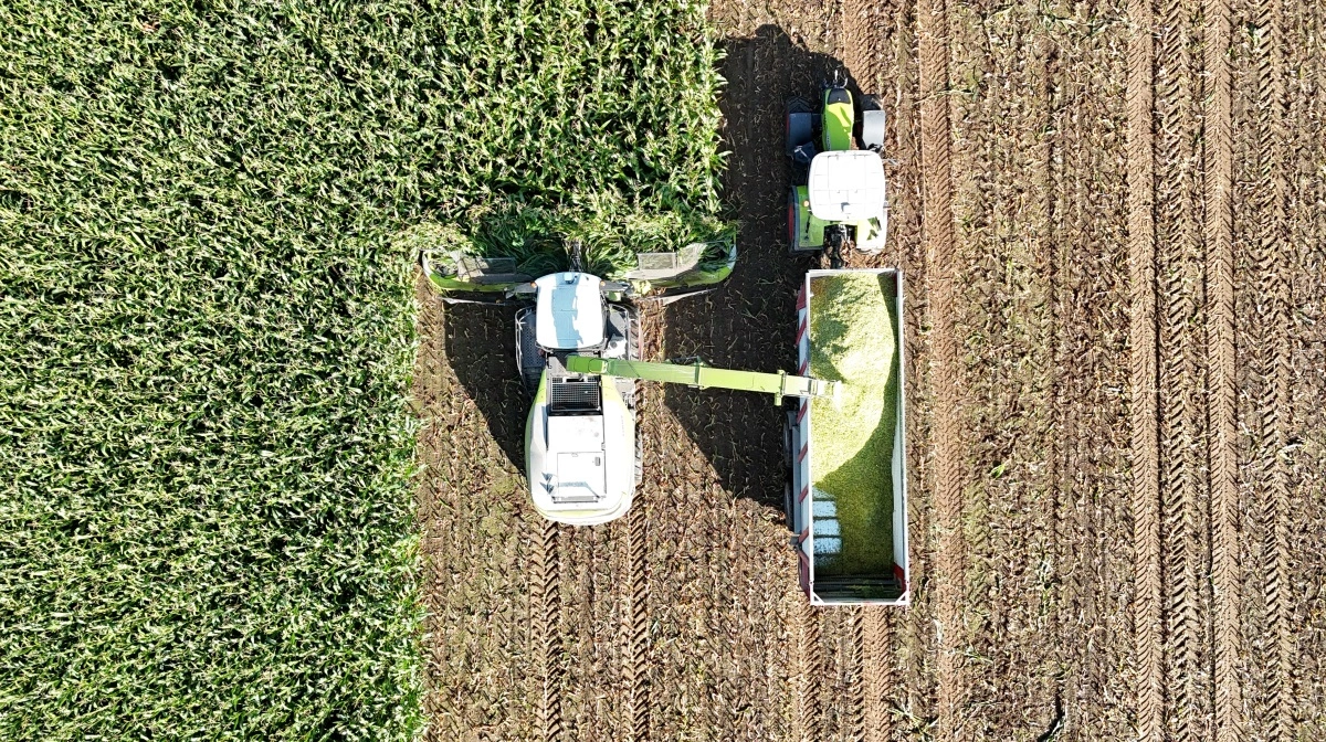 Jaguar set fra oven. Det nye Orbis 1050-majsskærebord til Claas Jaguar 1000-serien arbejder med 12 eller 14 rækker majs og en bredde på op til 10,5 meter. Uafhængige variabeldrev til knive, transportskiver og følgetromler optimerer snittekvaliteten, mens Auto Contour og aktive støttehjul sikrer præcis terræntilpasning.