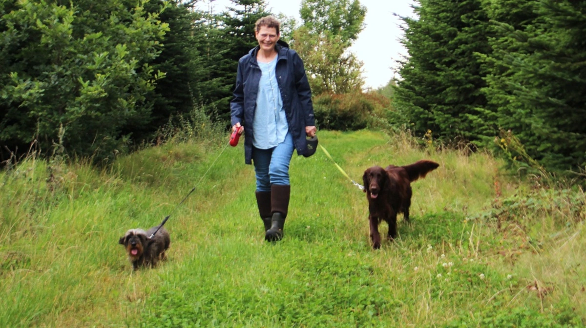 Seniorforsker Karen Thodberg fra Institut for Husdyr- og Veterinærvidenskab på AU Viborg fokus på vores firbenede venner – og på hvilken rolle, vi har spillet i deres udvikling. Fotos: Mette Bjerre, Aarhus Universitet