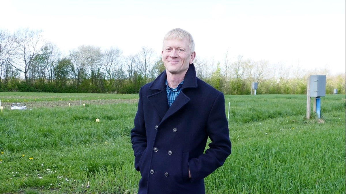 Hvede og kløver vokser lige så godt mellem lodrette solpaneler som på åbne marker, viser et nyt forsøg, som professor Uffe Jørgensen fra Aarhus Universitet har været med til at foretage. Arkivfoto: Bøje Østerlund