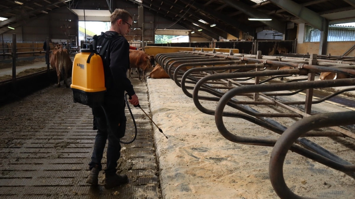 Jakob Pedersen bruger en rygsprøjte, og sprøjter produktet ud i sengebåsene to gange om ugen.