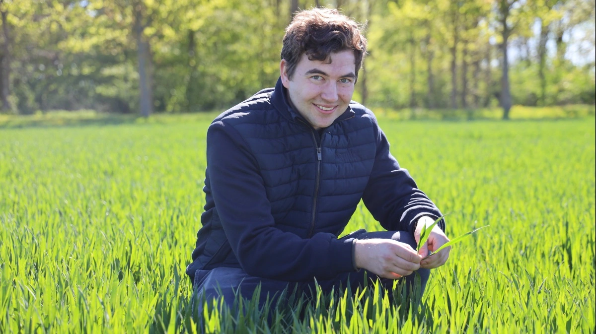 Planteavlskonsulent hos Agillix, Rasmus Larsen anbefaler, at der opsættes limplader straks efter såning, da de orange plader er et godt værktøj til at følge flyvningen fra fremspiring. Foto: Agillix