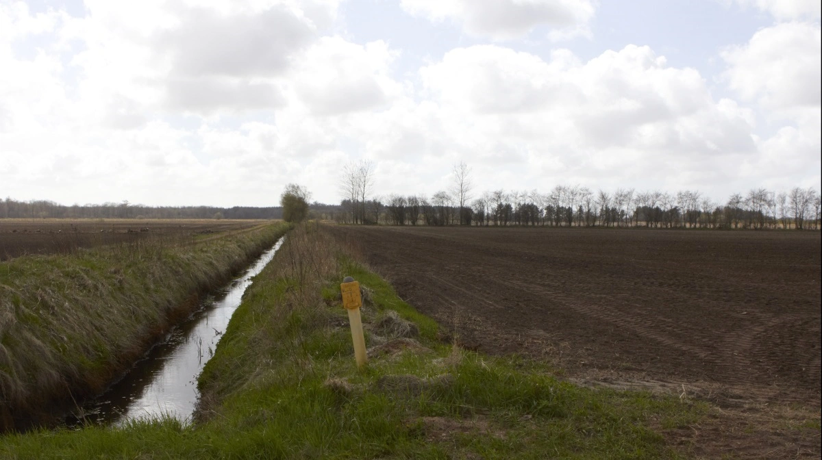 Der har i en årrække hørt store landbrugsarealer til Schackenborg, Prins Joakims tidligere ejendom. Men nu bliver der solgt ud af jordene i tråd med ejernes strategi. Arkivfoto: Bøje Østerlund