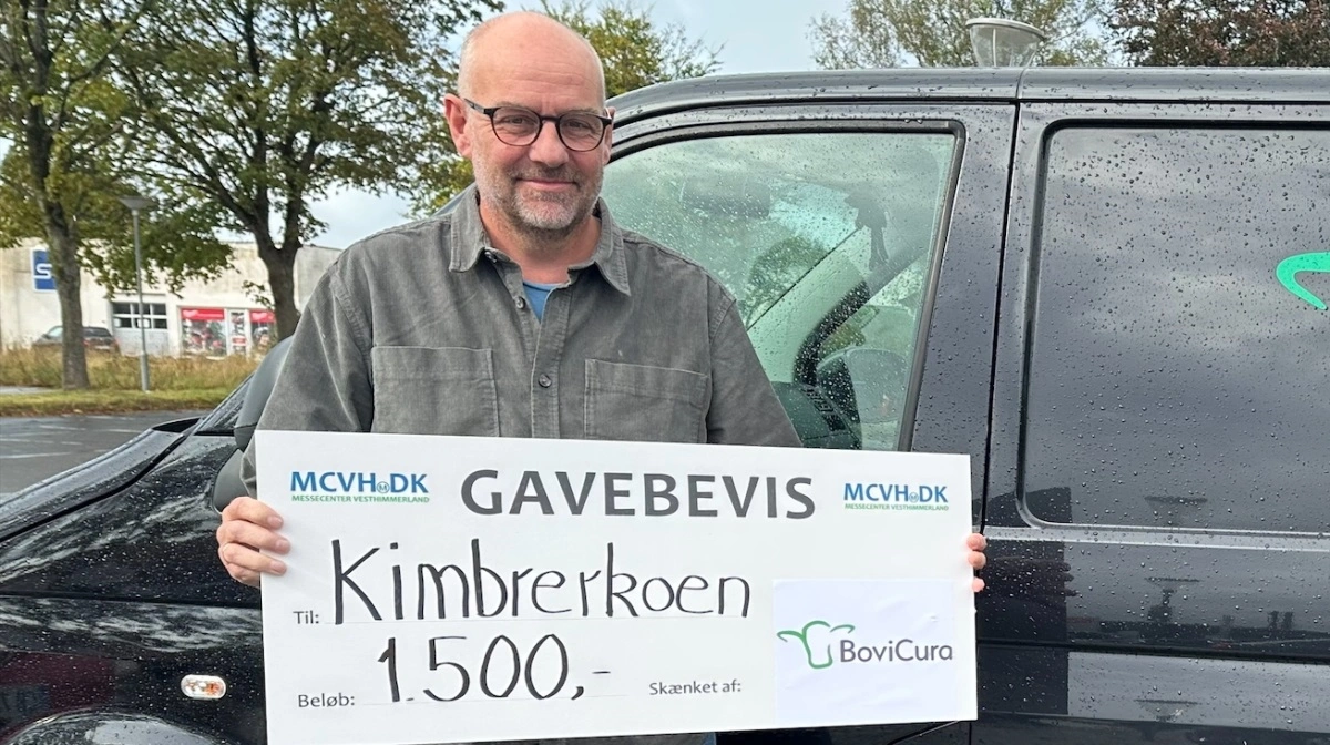 Kimbrerkoen får 1.500 kroner, som tildeles af BoviCura.