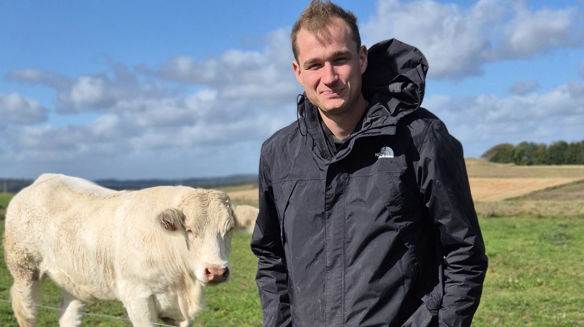 Mads Friis, Auning, startede med at trække får i ringen, men det blev for kedeligt og nu har han kastet sin kærlighed på kødkvæg.