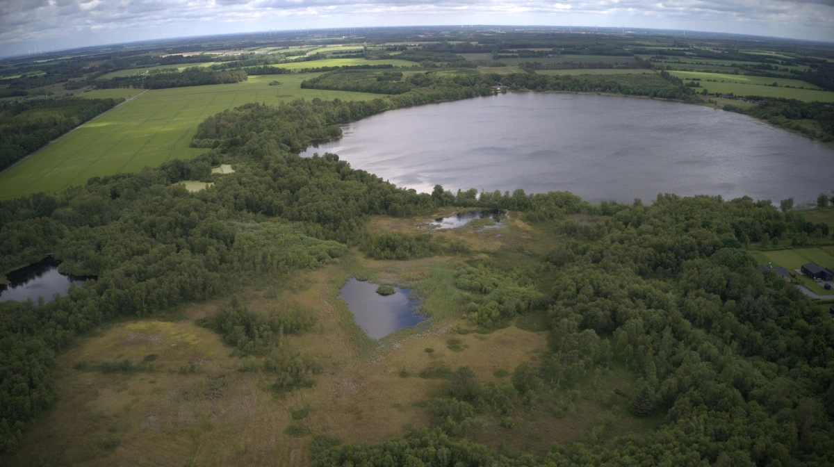 Det er omkring Kvie Sø i Varde, at projektet blandt andet finder sted. Foto: Arla