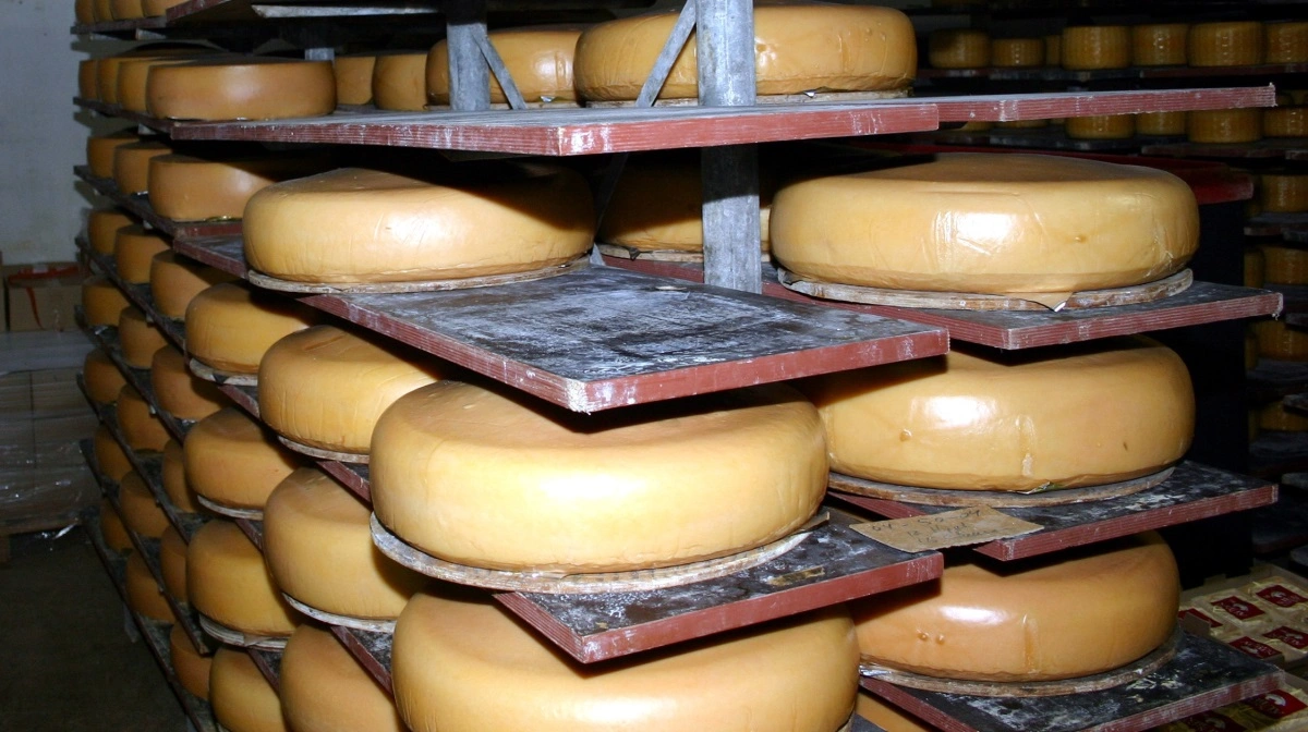 Lactalis er blandt andet kendt for sine osteprodukter. Arkivfoto