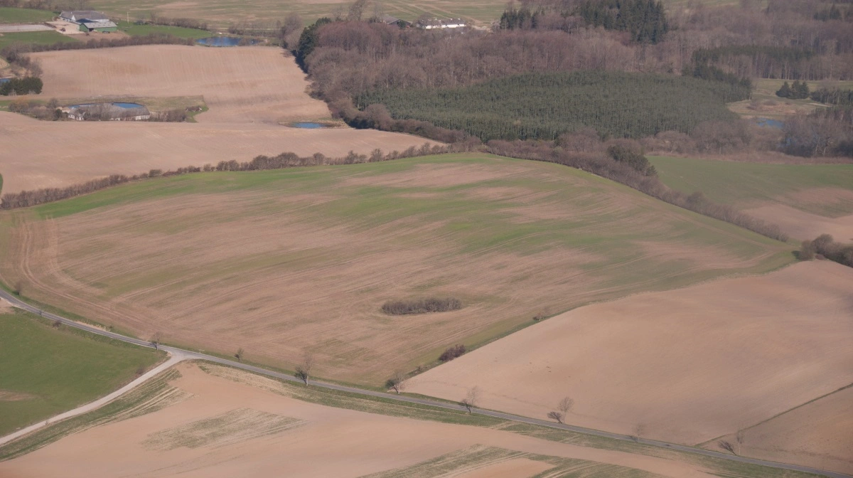Helikopterfotos af ekstreme snegleskader efter den milde vinter i 2011-12, hvor der kun var få kortvarige frostdøgn - som det også har været tilfældet de seneste år. Det gav for første gang voldsomme snegleangreb i vintersæd mange steder i Danmark. Fotos: Ecostyle.