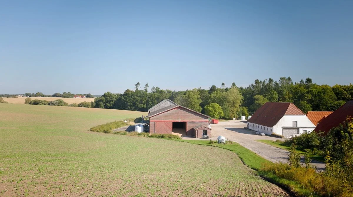 Biostimulanten BlueN udsprøjtes mest optimalt i efteråret, når rapsen har fire til seks blade, lyder anbefalingen fra Corteva. Foto: Corteva