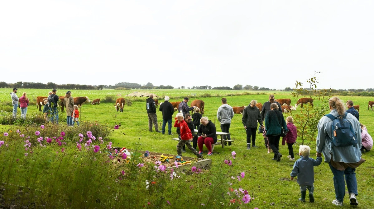 94.989 danskere benyttede lejligheden til at besøge et landbrug. Fotos: Camilla Bønløkke
