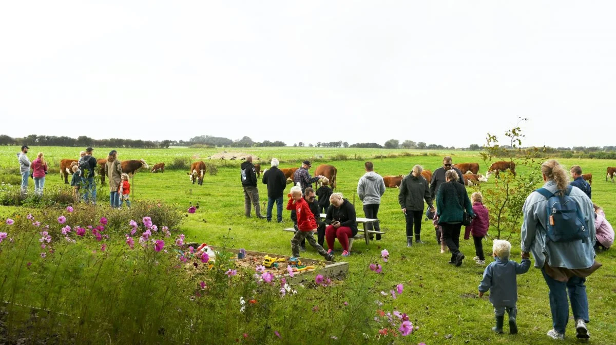 94.989 danskere benyttede lejligheden til at besøge et landbrug. Fotos: Camilla Bønløkke