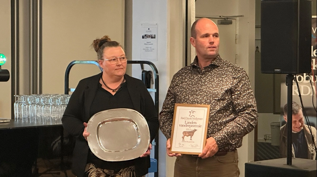 Nita og Jakob Gade modtog det legendariske sølvfad som bevis på, at deres tyr, VR Faxi, blev kåret til årets tyr. Fadet skulle angiveligt have tilhørt Dronning Dagma. 