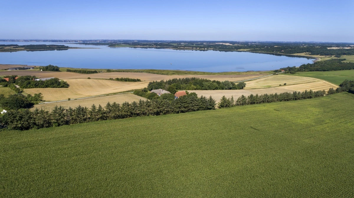 Limfjorden er centrum for nogle af de største udfordringer i den grønne trepart: Fjorden skal have markant mindre kvælstof, men uenigheden om, hvordan det skal ske, er stor. Arkivfoto: Claus Haagensen