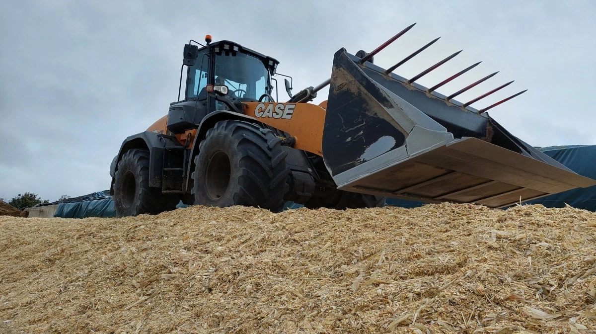 Kolbemajs har en væsentligt lavere fyldefaktor end både græs- og majsensilage. Det er altså en oplagt måde at øge grovfoderandelen i rationen. 
