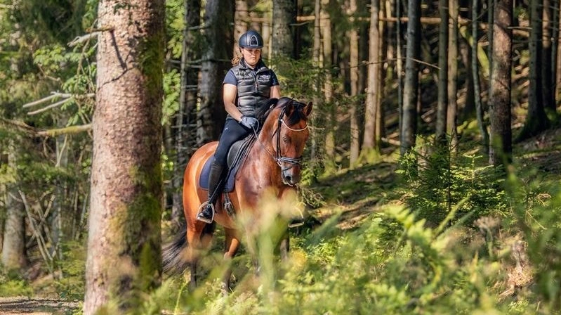 Hesteelskere i hele landet har igen i år – i rekordstort antal – deltaget i Agria Naturridt og dermed samlet penge ind til fordel for Hestens Værn. Foto: Agria.dk