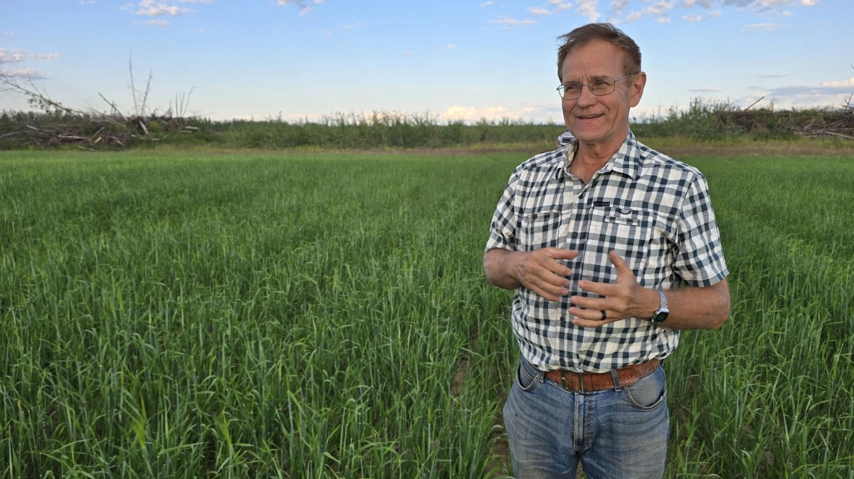 - Jeg voksede op på en familiefarm i Idaho, hvor området ikke gav plads til ekspansion eller udvidelse. Så hørte jeg om tilskudsmuligheder, hvis man ville starte landbrug i Alaska og tog herop for at se på forholdene. Det er over 40 år siden og jeg er ikke taget tilbage endnu, smiler han.