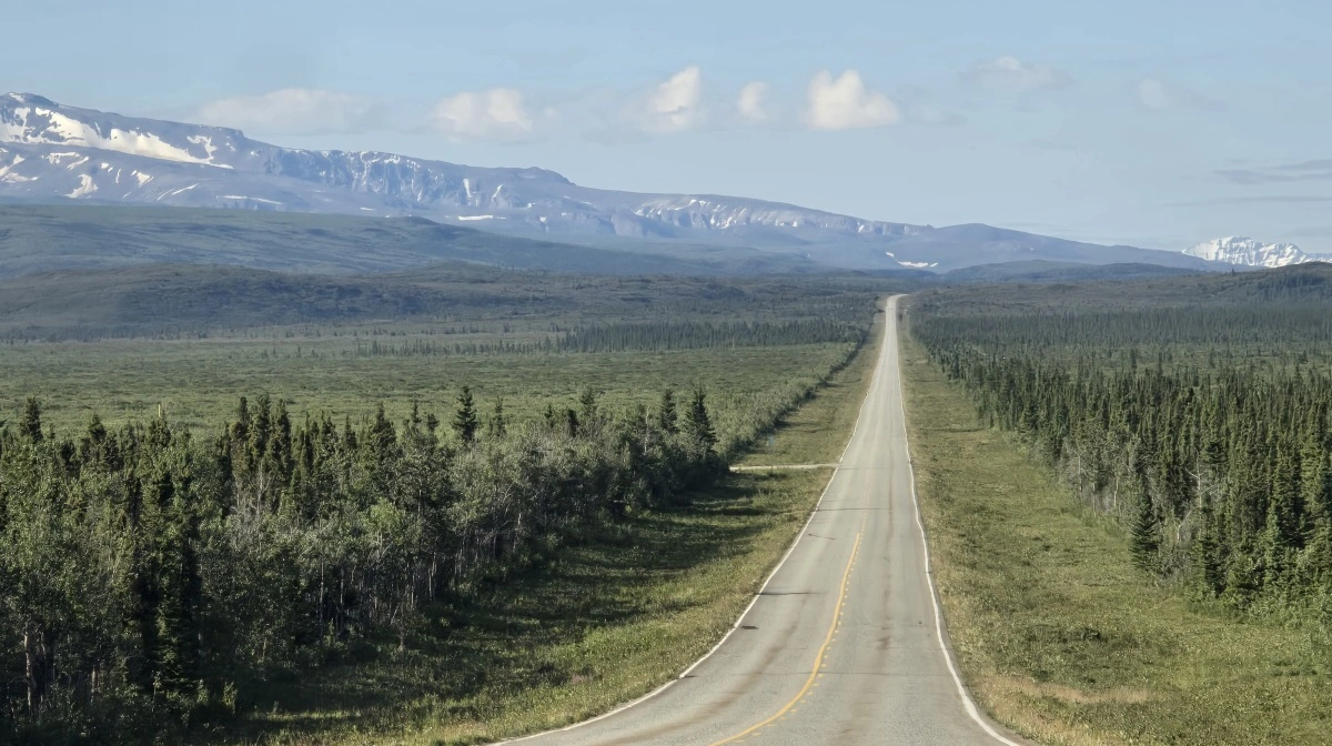 Alaska har stadig olie i undergrunden. Men for at få gang i landbruget i Alaska besluttede delstatsregeringen at give store arealer gratis til landmænd, som til gengæld forpligtede sig til at dyrke det.
