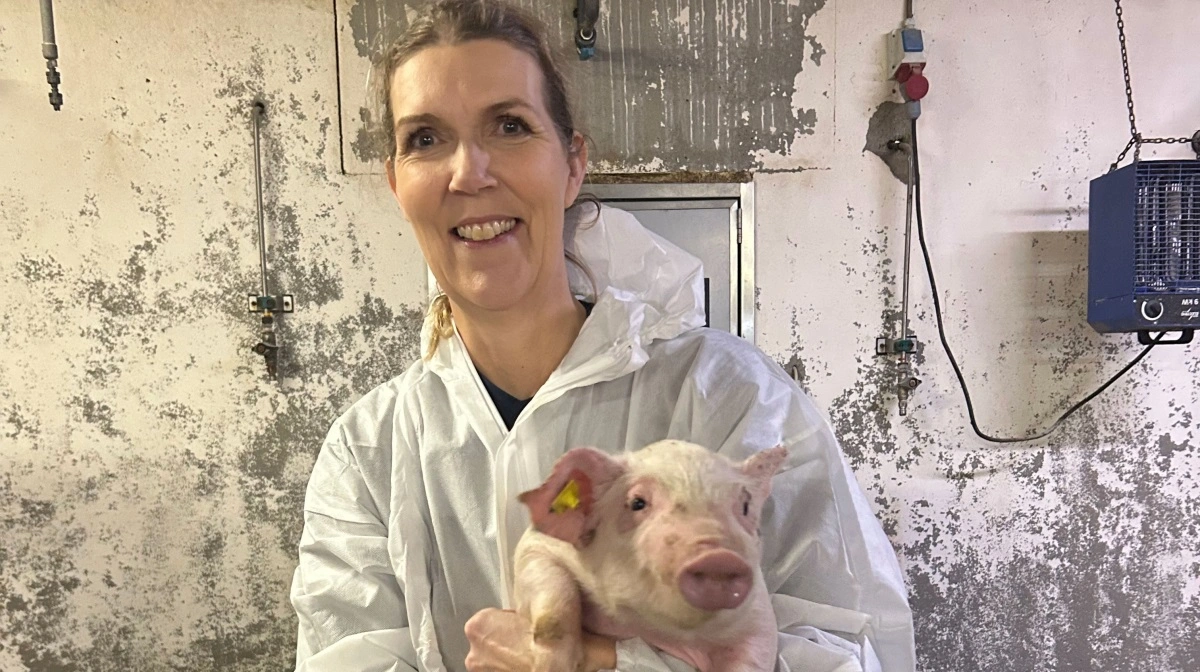 Charlotte Sonne Kristensen fra Ceva opfordrer alle mycoplasma-positive besætninger til at deltage i Lungvember-kampagnen for dermed at forbedre chancerne for en bedre bundlinje. PR-foto