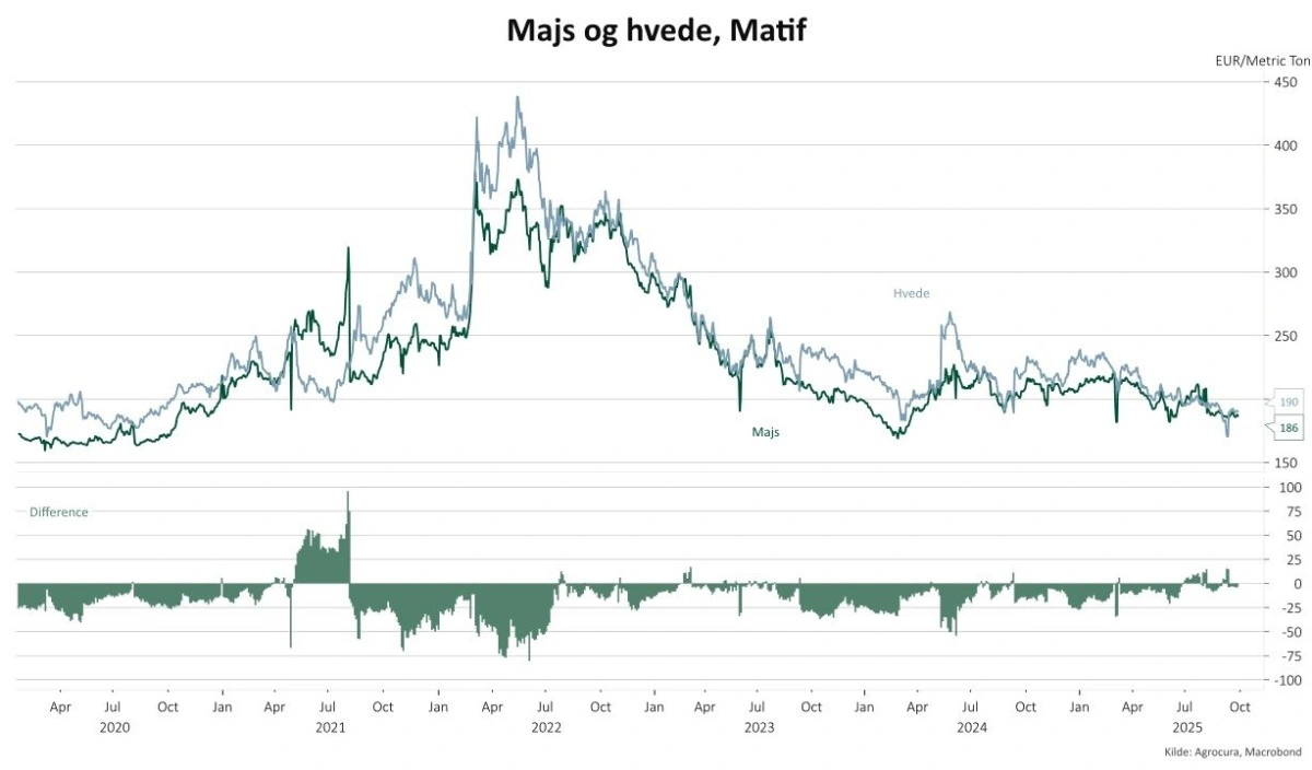 Grafen viser prisudviklingen for majs og hvede på Matif-børsen, hvor det er den løbende første position, der er brugt. Nederst ses forskellen. Når den er under 0, er det hvede, der er dyrest, og når den er over 0, er det majs, der er dyrest.