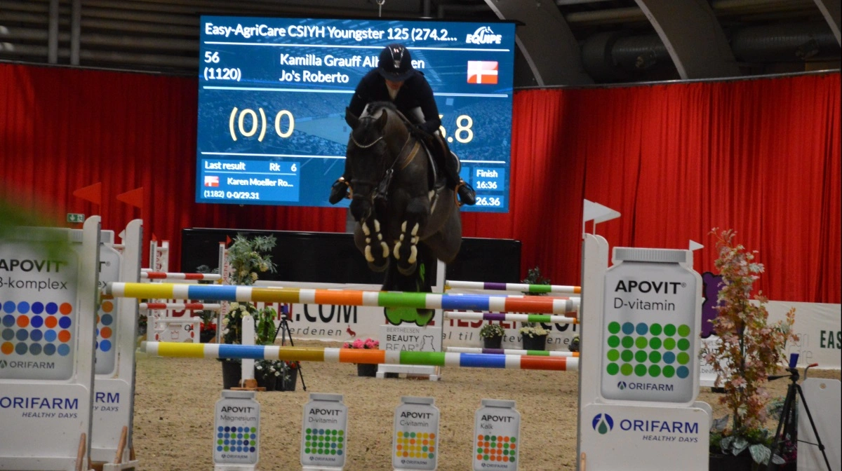 Dansk Varmblods Hingstekåring er en kombination af avl, sport, show og messe, hvor tradition møder fremtid. Arkivfoto: Camilla Bønløkke