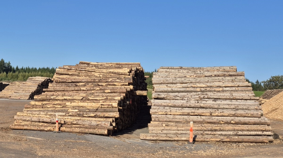 - Hvis vi fordobler selvforsyningen, kan vi både skabe flere danske arbejdspladser og gøre en reel forskel for klimaet. Træ binder kulstof i årtier, når det bruges i byggeri og langlivede produkter – og det er klimamæssigt bedre end at importere træ fra et presset verdensmarked, siger direktør for Norlund A/S og formand for Træ- og Møbelindustrien Jørgen S. Skriver. Arkivfoto: Tenna Bang