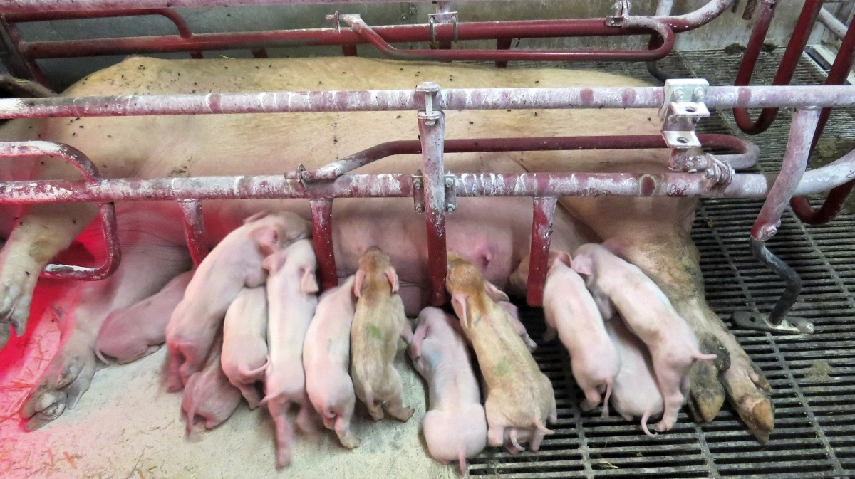 Hos en kunde, der allerede lå i top 10, førte et skærpet fokus siden april til en besparelse på 100 kroner pr. årsso, lyder det fra Kjeld Askjær. Arkivfoto