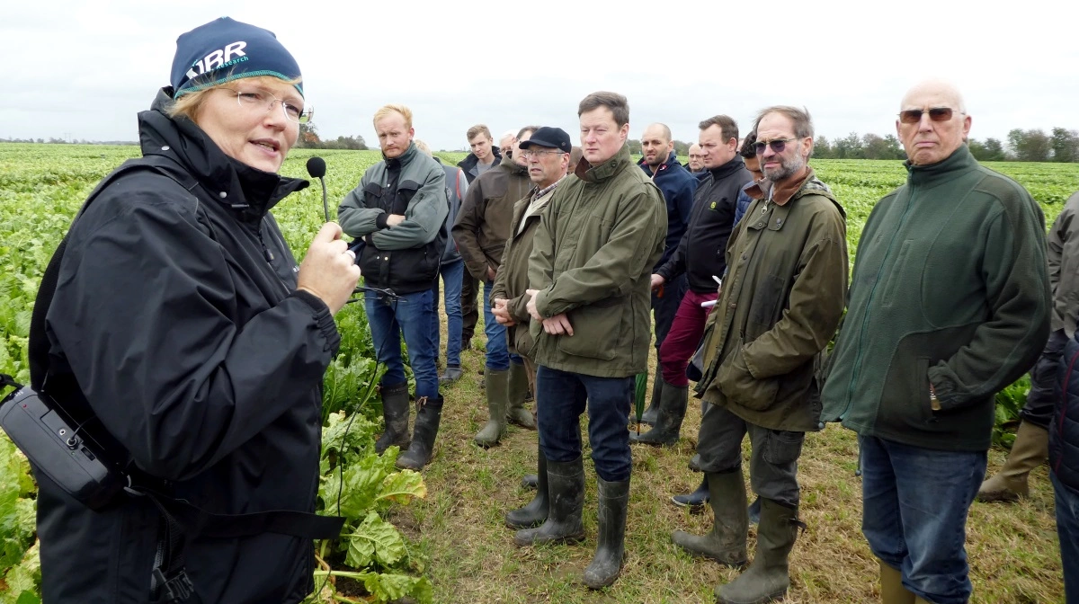 Projektleder Anne Lisbet Hansen, Nordic Beet Research fortæller om vækstforhold i roerne ved en tidligere Roedag på Sofiehøj. Fotos: Jørgen P. Jensen