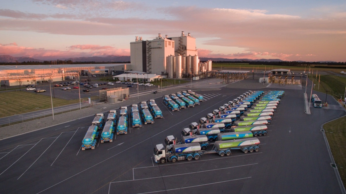 Det newzealandske mejeri Fonterra kommer ud af det seneste regnskab med fremgang på flere fronter. Foto: Fonterra