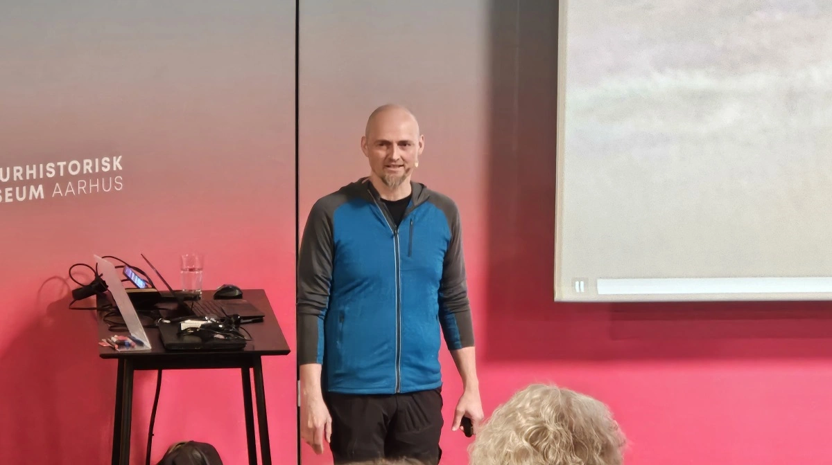 Der er ikke noget odiøst i at tælle ulvebestanden, som man er gået over til at gøre hos DCE, lyder det i en pressemeddelelse, som Kent Olsen blandt andre står bag. Arkivfoto: John Ankersen