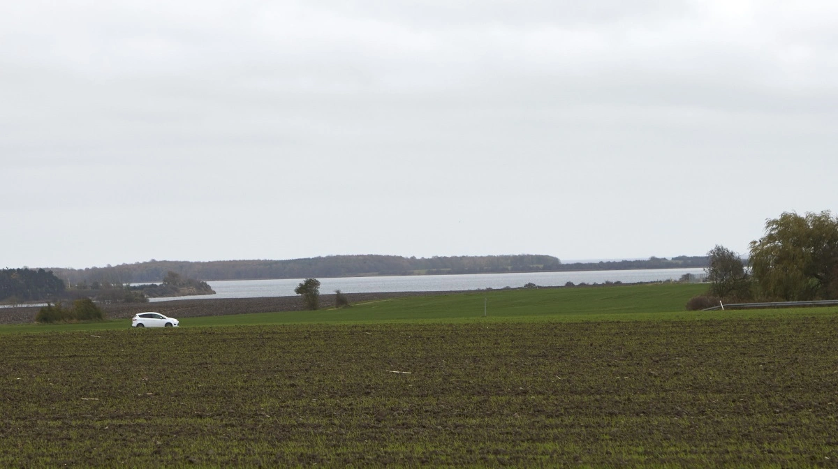 - Det er vigtigt, at vi alle erkender, at ikke én løsning passer alle steder. Det er forskelligt, hvordan man bedst reducerer fosfor, og hvordan man får ålegræsset til at gro, skriver Søren Søndergaard. Arkivfoto: Erik Hansen