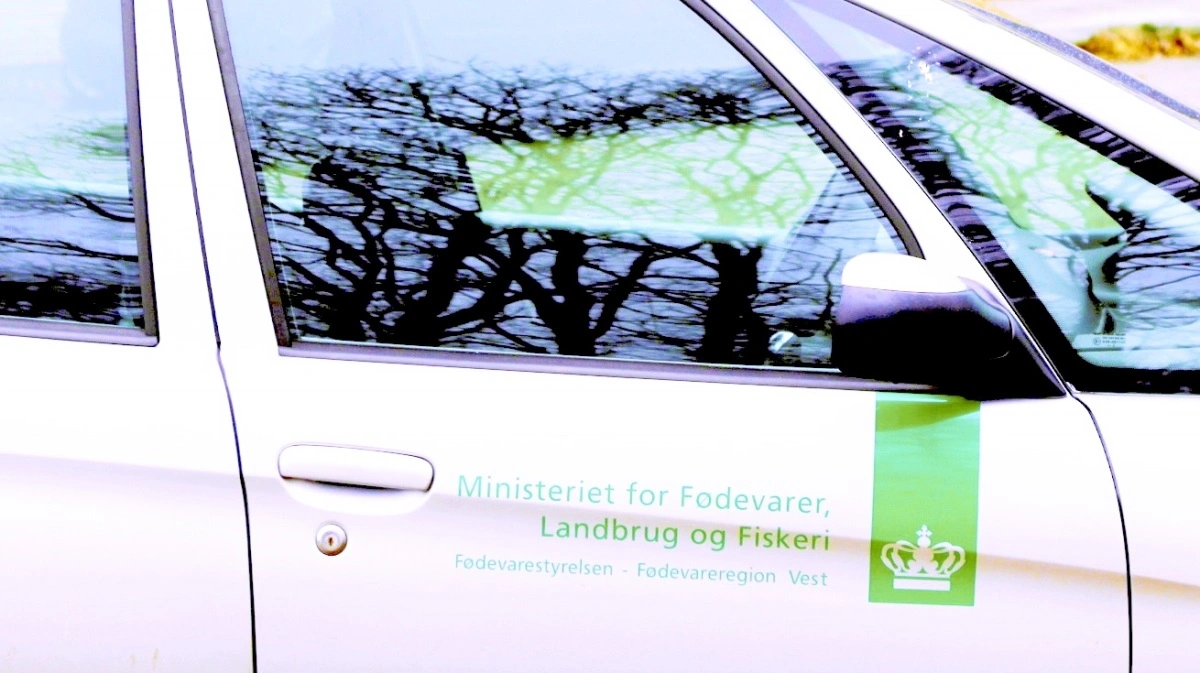 Især belægningsgraden er i søgelyset, når Fødevarestyrelsen frem til og med december gennemfører en kontrolkampagne. Arkivfoto: Anne Wolfenberg