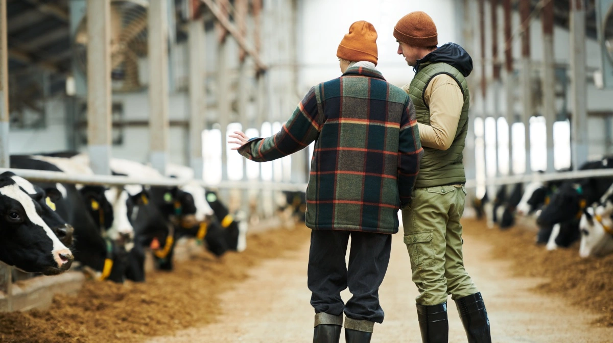 Generationsskiftet i dansk landbrug er blevet en gordisk knude. Kapitalbehovet er eksploderet, antallet af heltidsbrug falder år for år, og de unge holdes effektivt ude. Foto: Colourbox