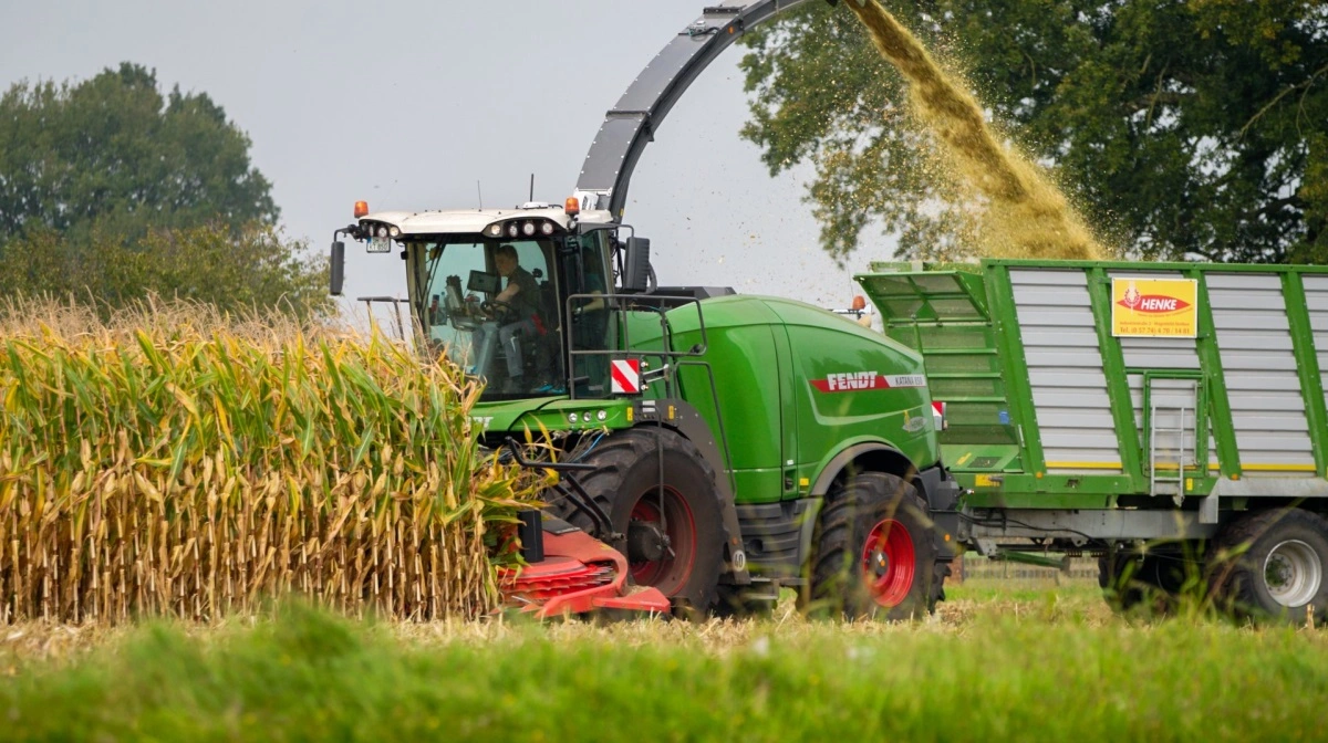 Skiftende markforhold og sortsforskelle kan betyde, at corn-crackeren skal justeres mange gange i løbet af en arbejdsdag. Med Forage Quality Cam kan Agco konstant levere informationer til snitterpiloten om kvaliteten af kerneknusningen. Foto: Agco