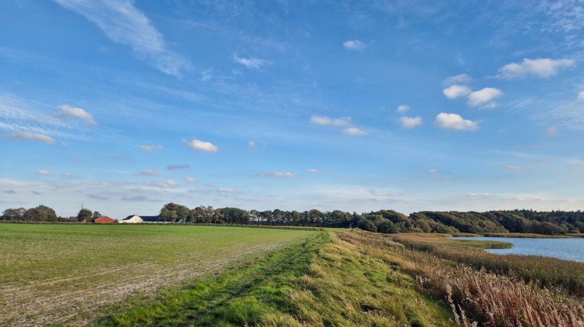 Der er adskillige fredede områder i Herning Kommune - blandt andet her ved Gødstrup Sø, hvor der samtidig er landbrug i nærheden. Foto: Henning K. Andersen