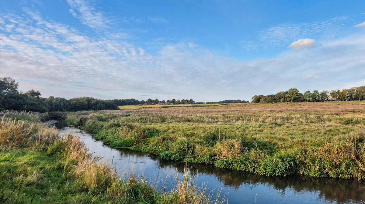 Der er ikke langt fra vand til landbrug i kommunen. Her er det i forgrunden Herningsholm Å, der løber igennem store arealer med landbrug. Foto: Henning K. Andersen