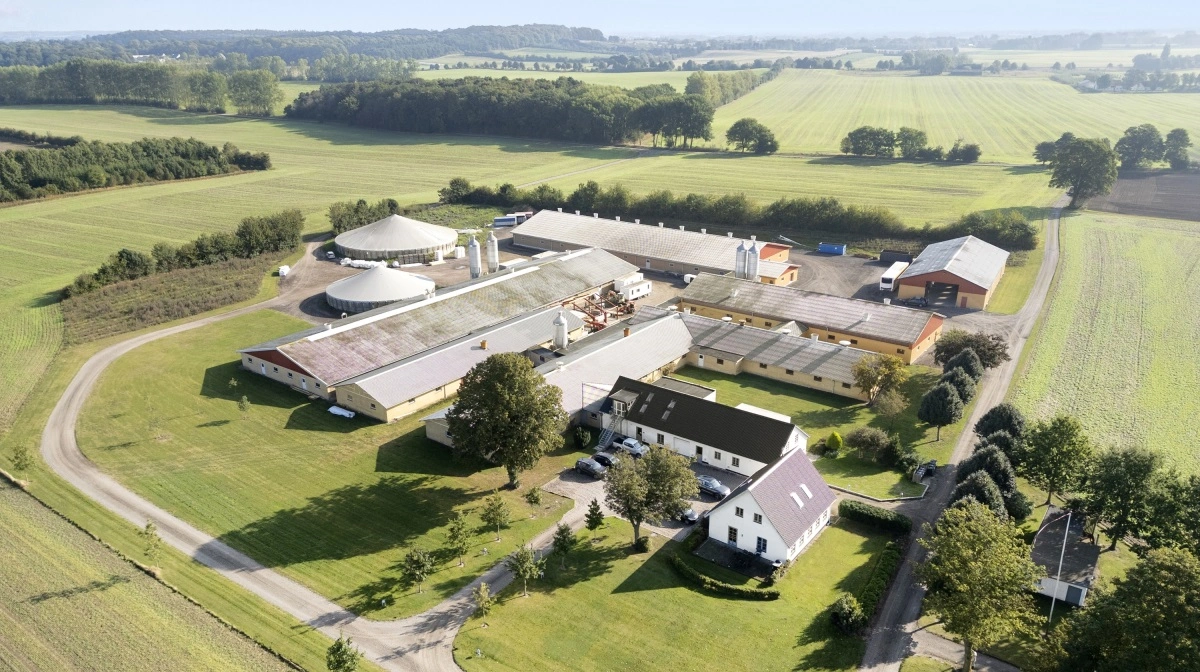 Svineproduktionsejendommen Egebjerg ved Skibby i Nordsjælland er sat til salg for 40,5 millioner kroner. Fotos: EDC Landbrug Poul Erik Bech
