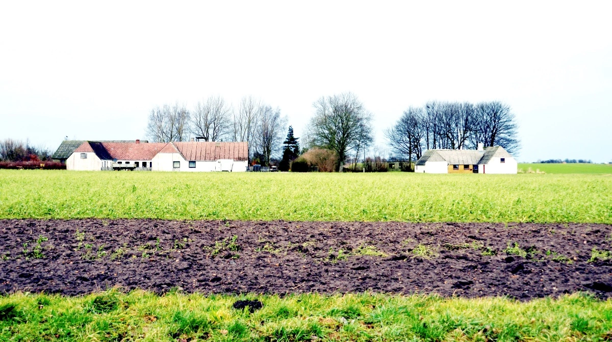 Må Danmark godt lave væsentlig om på reguleringen af landbruget uden godkendelse fra EU, lyder et af Ann Louise Worsøe Jørgensens spørgsmål. Arkivfoto