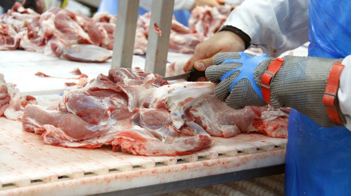 Det store amerikanske slagteri, Tyson Foods, har efter anklager om karteldannelse indvilget i at betale 85 millioner dollar som led i et forlig. Foto: Colourbox