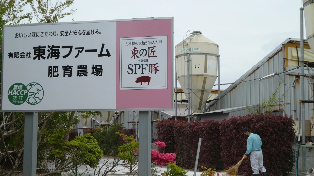 Der kommer langt mindre svinekød på hylderne i de japanske supermarkeder nu end tidligere. Arkivfoto:; Jørgen P. Jensen