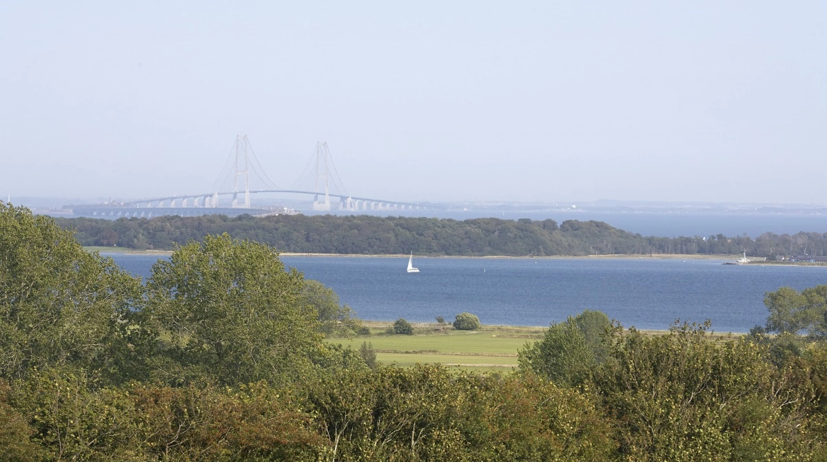 Der er løbet alt for meget spildevand i vandløbene ved Nyborg fra overløb. Samtidig har den nye trepartsaftale ved Storebælt et sigte mod at fjerne udledninger fra landbruget til blandt andet Holckenhavn Fjord. Arkivfoto