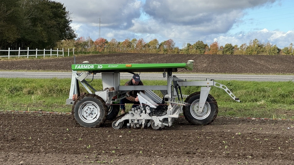 Danske Farmdroid var også med i marken, hvor den havde sået spinat. 