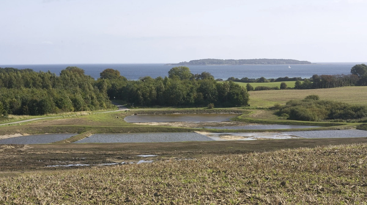 Når landmænd investerer i minivådområder, tager de aktivt del i løsningen – til gavn for både naturen og fødevareproduktionen. Arkivfoto: Erik Hansen