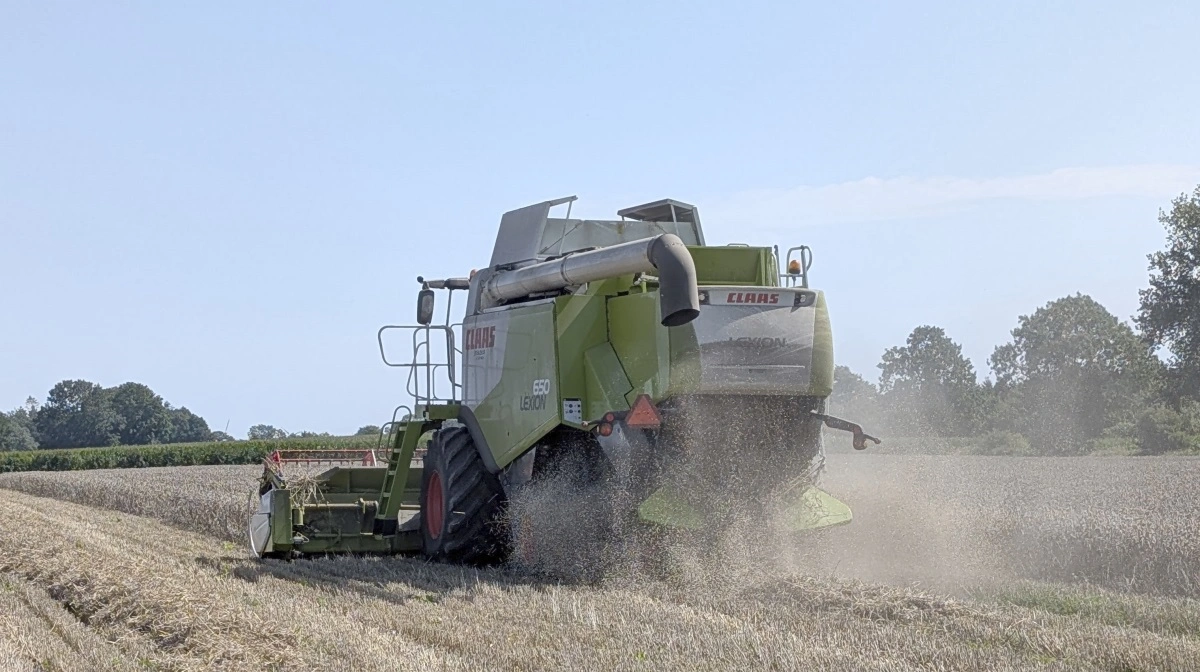 Stor svensk kornhøst i 2025 med god kvalitet, men lave priser og høje omkostninger presser landmændenes økonomi. Arkivfoto: Erik Hansen