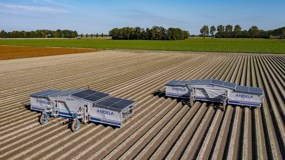 Den autonome Andela Robot Weeder arbejder uafhængigt af traktor og energi fra fossile kilder. Den drives af solceller og bruger kamera- og AI-baseret genkendelse til at spotte ukrudtet præcist i rækken. Løsningen giver et glimt af fremtidens planteavl, hvor strøm, sensorer og selvkørende teknologi erstatter planteværnsmidler.
