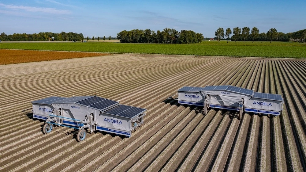 Den autonome Andela Robot Weeder drives af solceller og bruger kamera- og AI-baseret genkendelse til at spotte ukrudtet præcist i rækken. 