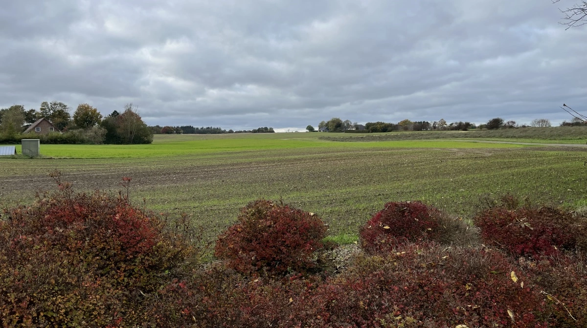 På i alt 800 hektar jord tilhørende Hvolgaard Landbrug dyrkes der vinterhvede, vinterbyg, vinterrug, vinterraps samt vårbyg og vårhavre.