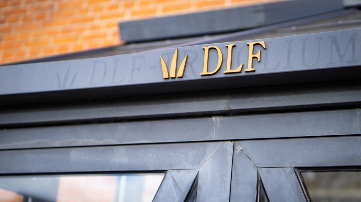 Græsfrøkoncernen DLF har udpeget en ny direktør for det nordamerikanske marked. Arkivfoto: Victor Juul Grønbæk