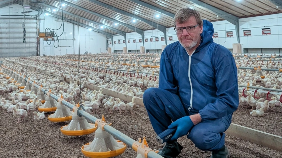 Martin Rishøj fra Rokkedahl ser fremgang i dansk fjerkræproduktion, men peger på, at noteringen stadig ligger for lavt til, at der investeres i nye stalde. Til gengæld ser han et stort potentiale i at bruge data til at optimere produktionen i de eksisterende stalde.