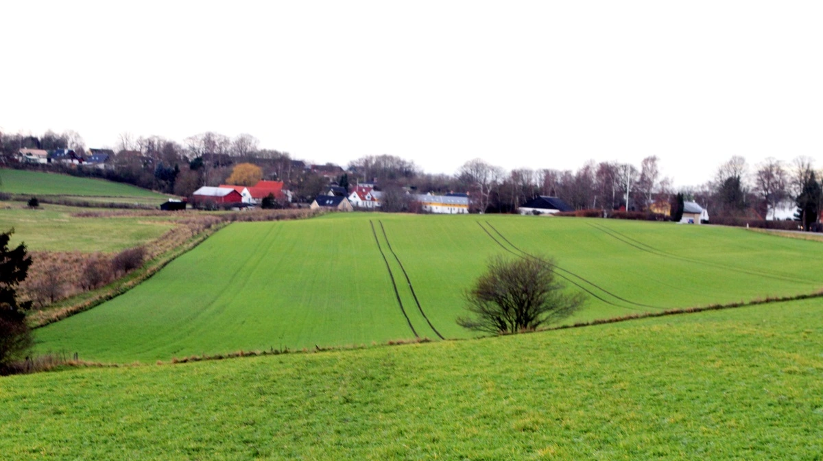 Arkivfoto