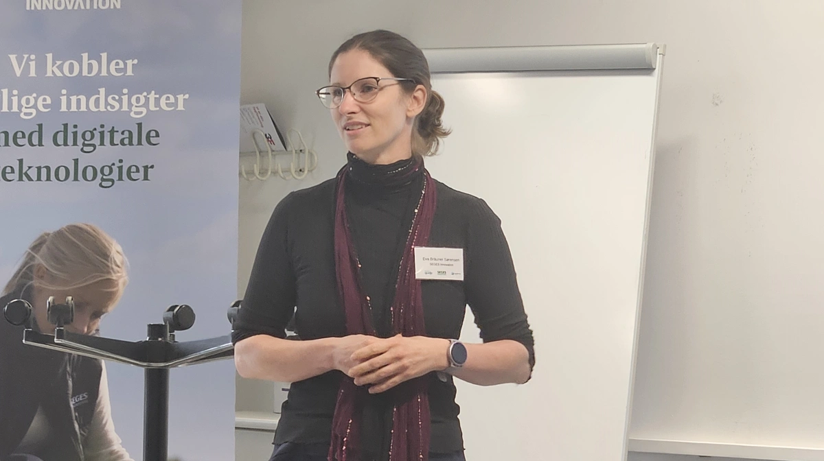 - Vi vil gerne gøre ærter til en ny stor afgrøde i Danmark, lød det fra projektleder på projektet KlimæPro, Eva Bräuner Sørensen, Seges Innovation under velkomsten.