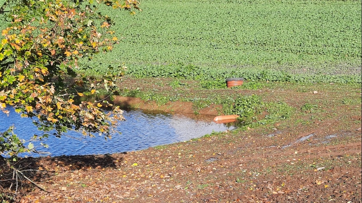 Tempoet i sagsbehandlingen omkring minivådområder går langsomt, og hos VKST har man svært ved at forestille sig, at der på Sjælland og Lolland-Falster vil blive etableret over 200 minivådområder om året i fire-fem år i træk. Arkivfoto